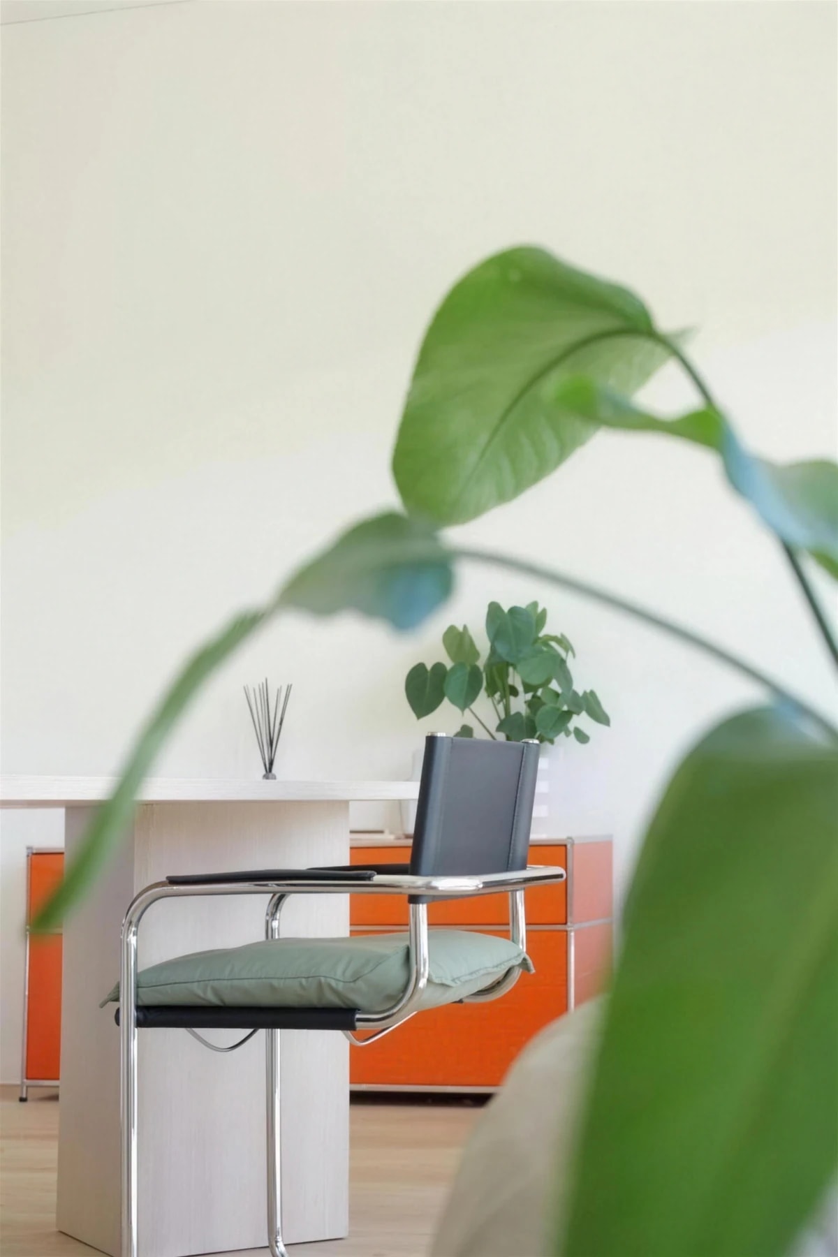 Detail mit Grünpflanze im Vordergrund und Designer-Stuhl im Hintergrund.